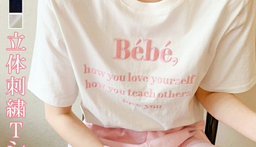 ＜クーポン利用で1,990円＞ Tシャツ レディース ロゴ 刺繍 立体 凸凹 オーバーサイズ ゆったり 大きいサイズ フレンチガーリー 白 シンプル 韓国 可愛い お洒落 ネイビー ロゴT 大人 カジュアル トレンド パステル 半袖 【 立体ロゴ刺繍Tシャツ 】 ダークエンジェル