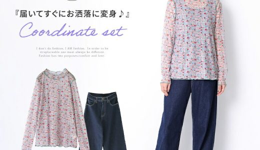 【全品送料無料】『お洒落印象へ導く花柄メッシュカットソーコーデ2点SET』[2点セット 2023 レディース 春秋冬 シアー ロンT 長袖 メッシュ 小花柄 メロウ ワイドデニム ストレッチ ストレート]※返品・交換不可※【メール便不可】