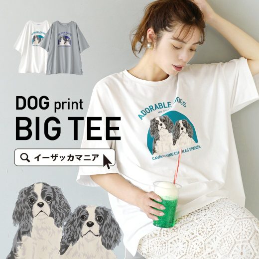 Tシャツ / 犬 好きさんにはたまらない1枚！ レディース トップス カットソー プルオーバー 動物 いぬ イヌ ロゴT ロゴ プリント イラスト 半袖 半そで 丸首 クルーネック オーバーサイズ 大きいサイズ 綿混 薄手 体型カバー 楽ちん 夏 【メール便可22】◆DOGプリント BIG TEE