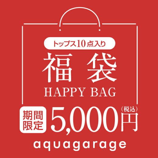 【トップス10点入り福袋】開けてからのお楽しみ 福袋 2025年 レディース 豪華10点入り レディースファッション 5000円 ポッキリ 大入り福袋 新春