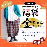 【数量限定】2025 soulberryの福袋 -金ちゃん- M/L/LL/3L/4Lサイズ レディース/ハッピーバッグ/ラッキーバッグ/セット/詰め合わせ/パンツ/ベスト/ニット/ブラウス/カットソー/トップス【お客様都合での返品・交換不可】