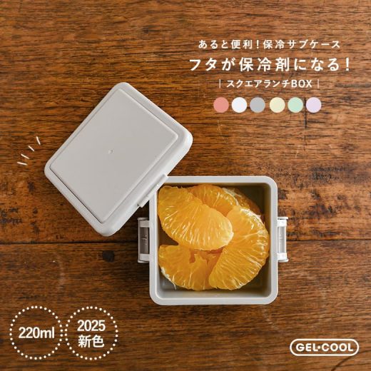 【新色登場】弁当箱 お弁当箱 ランチボックス 保冷 ジェルクール Sサイズ 一段 1段 食洗機対応 レンジ対応 電子レンジ対応 コンパクト おしゃれ GEL-COOL 保冷剤一体型 日本製 スクエア 大人 女性 レディース 子供 シンプル 220ml◇【メール便不可】【20】