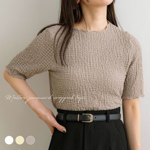 NOAHL｜【メール便】クラッシュ ジャガード Tシャツ レディース トップス 半袖 シワ加工 メロウ クロップド プルオーバー オフホワイト イエロー モカ 春 夏 ノアル 250423