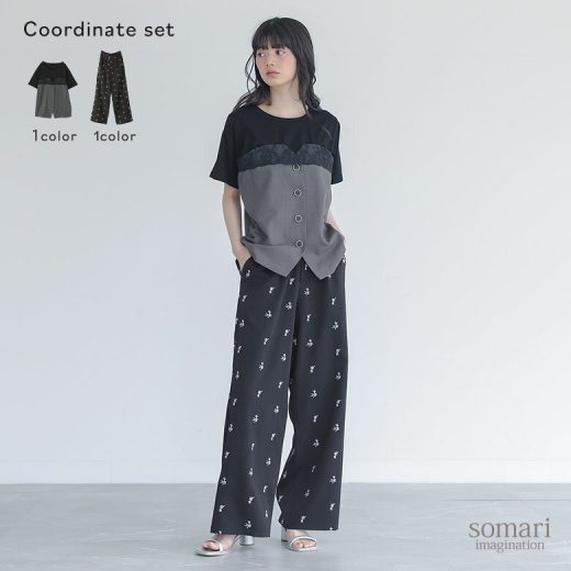 【送料無料】2点コーデセット 2025 レディース カットソー トップス Tシャツ 半袖 レイヤード レース 配色 無地 パンツ ボトムス スラックス ワイドパンツ 長ズボン 花柄 刺繍 春 夏 秋 オシャレウォーカー【メール便不可】【20】
