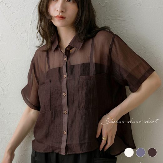 NOAHL｜《1枚2,990円→2点50%OFFクーポン利用》《40％OFFクーポン対象》【メール便】シャイニー シアーシャツ シャツ トップス レディース 半袖 シアー ラメ 透け感 シアートップス ショート アイボリー ブラウン ブルーグレー 春 夏 ノアル 250528【予約】