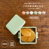 【新色登場】弁当箱 お弁当箱 ランチボックス 保冷 ジェルクール Sサイズ 一段 1段 食洗機対応 レンジ対応 電子レンジ対応 コンパクト おしゃれ GEL-COOL 保冷剤一体型 日本製 スクエア 大人 女性 レディース 子供 シンプル 220ml◇【メール便不可】【20】