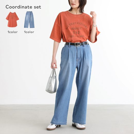【送料無料】『カレッジロゴピグメントTシャツ×ワイドストレートデニムコーデ2点SET』[2点コーデセット 2024 レディース Tシャツ カットソー 半袖 トップス デニム ボトムス ストレート]【メール便不可】【20】